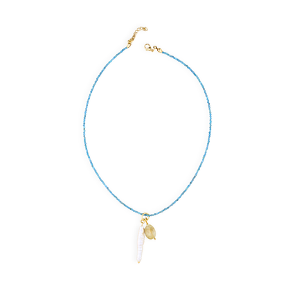 Charm No.1